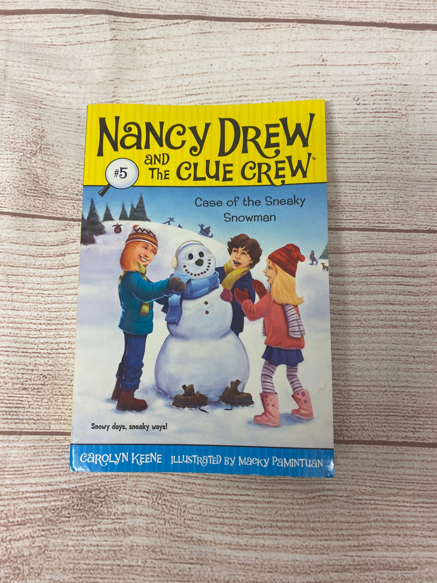 Nancy Drew and the Clue Crew #5 Case of the Sneaky Snowman