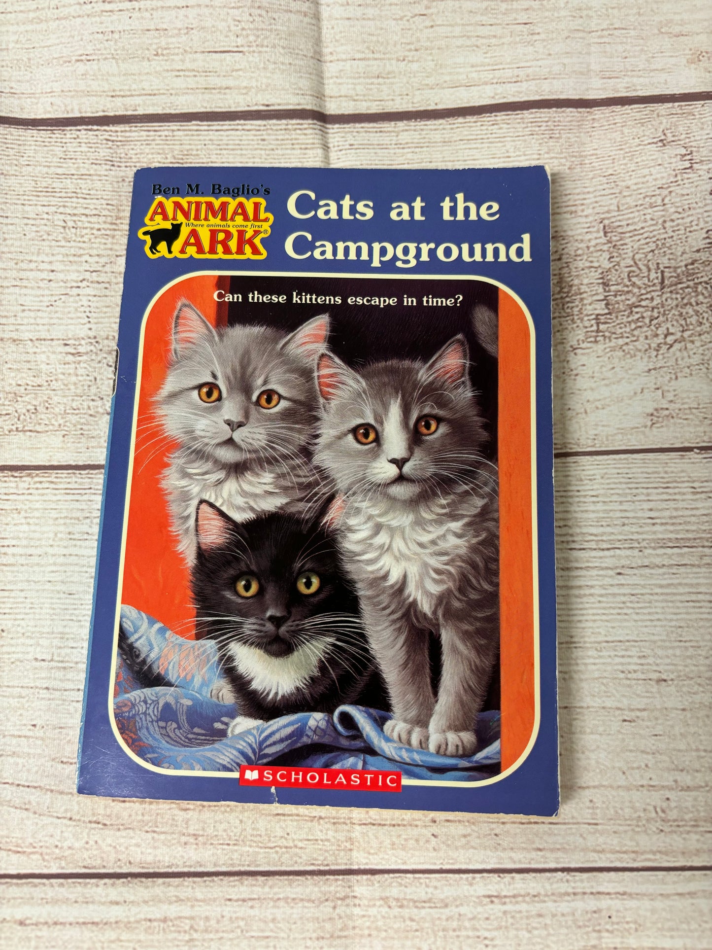 Animal Ark - Cats in the Campground