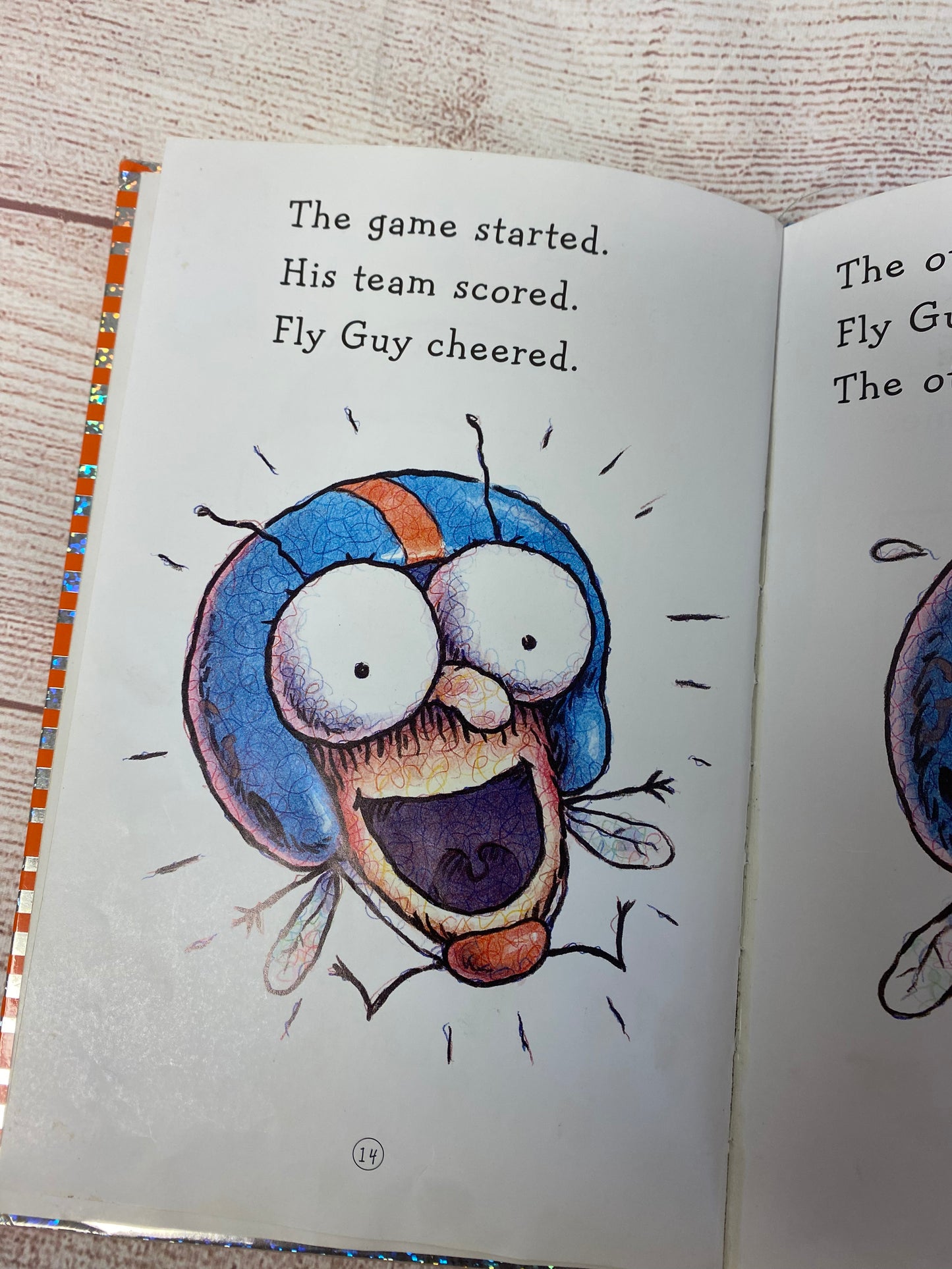 Hooray for Fly Guy