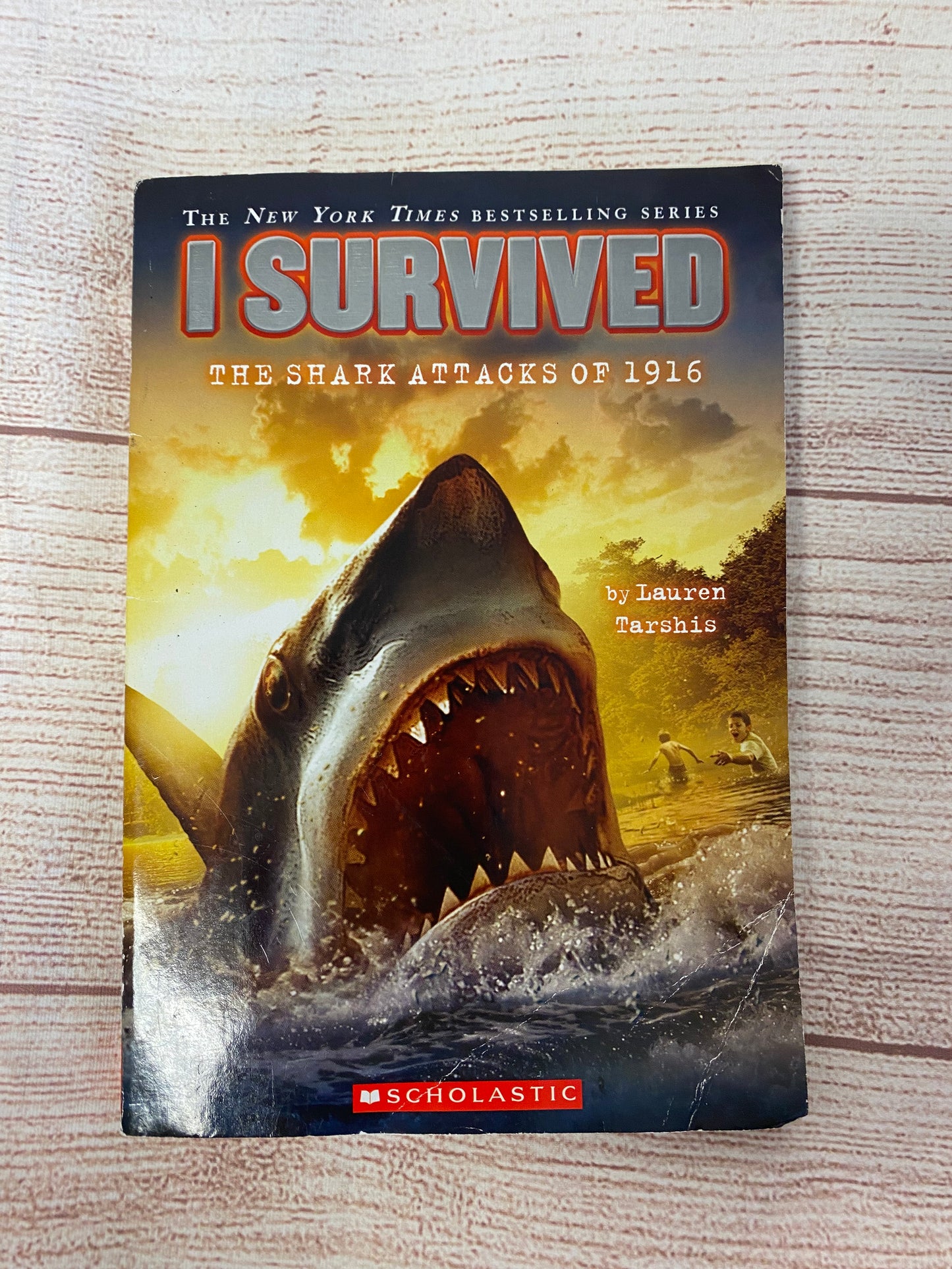 I survived - The Shark Attacks of 1916