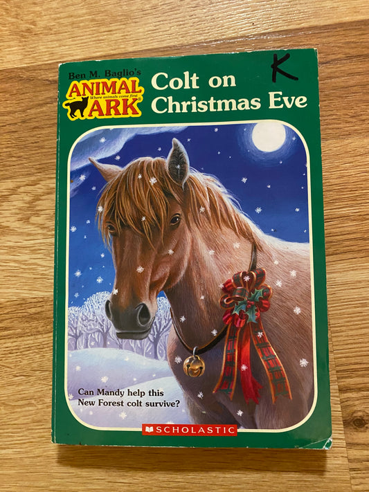 Colt on Christmas